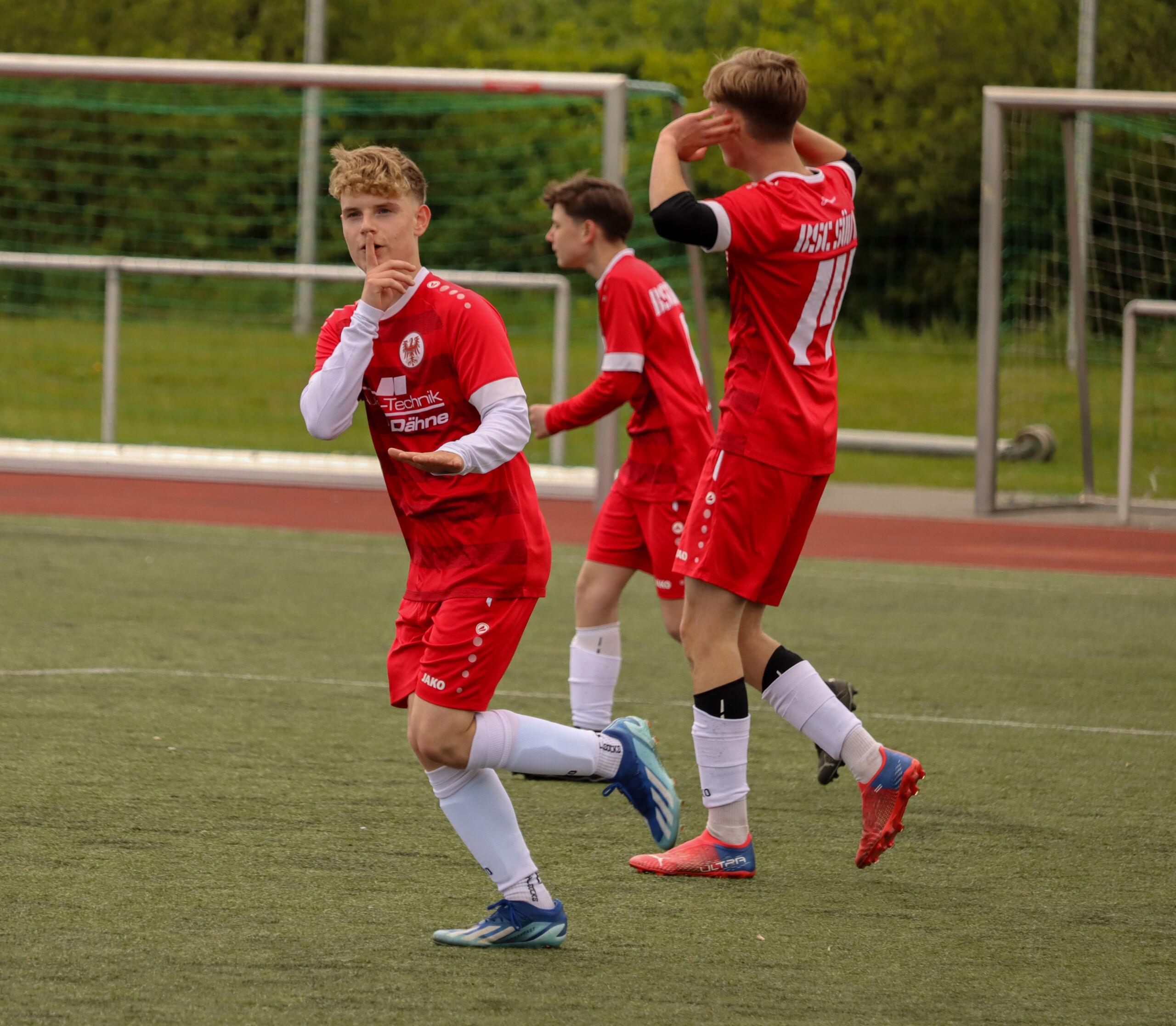 Fussballfotos (3)